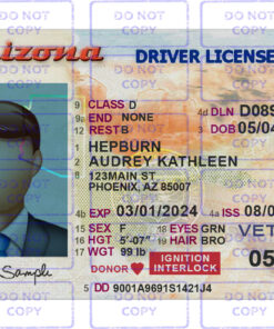 Arizona driver license Template