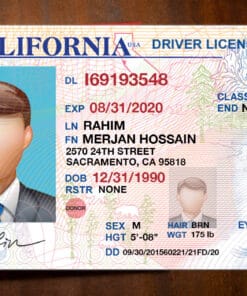 California Driver License Template