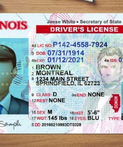 Illinois Driver License Template