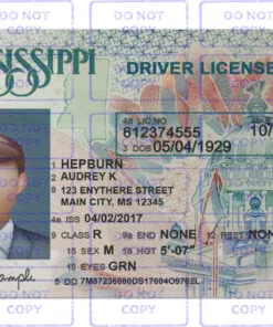 Mississippi Driver License Template