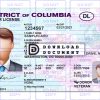 District of Columbia driver license Template