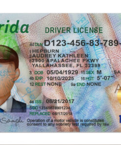 Florida Driving License Template