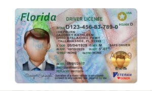 Florida dl front 1