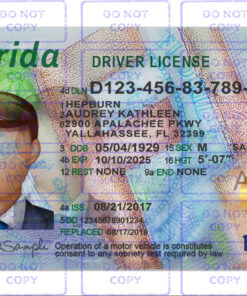 Florida driver license Template