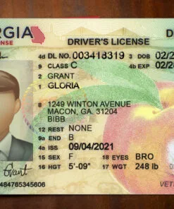 Georgia Driver License Template