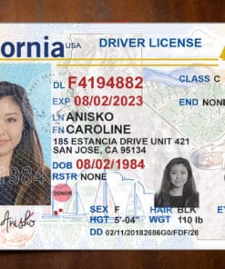 California Driver License Template old