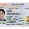 Indiana driver license Template v2