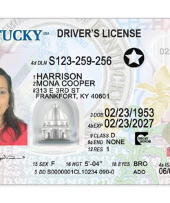 Kentucky drivers license template