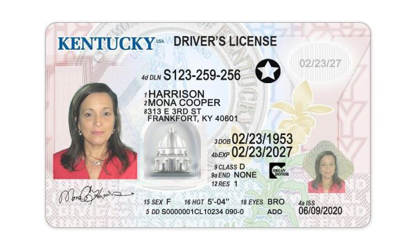 Kentucky drivers license template