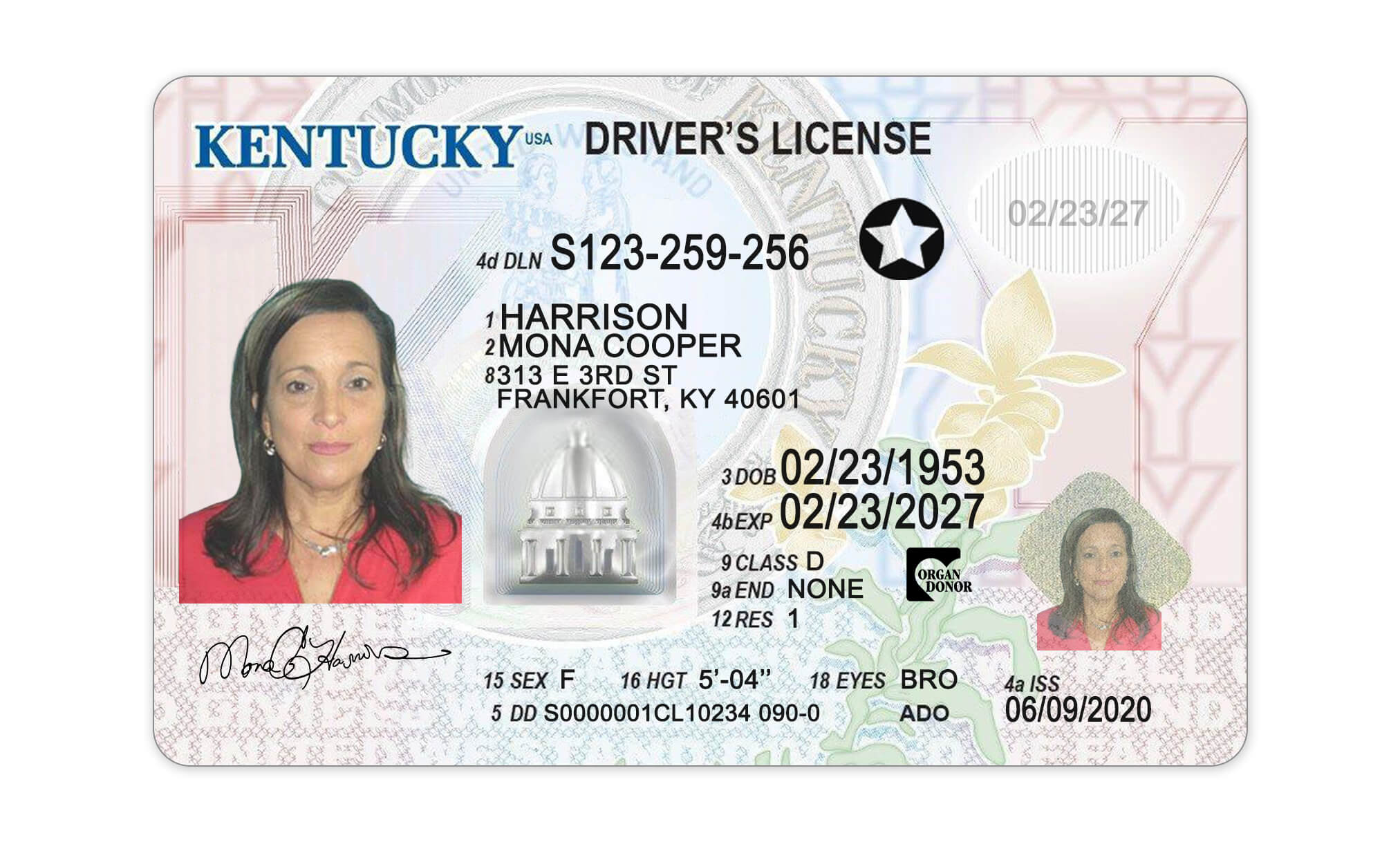 travel driver's license ky