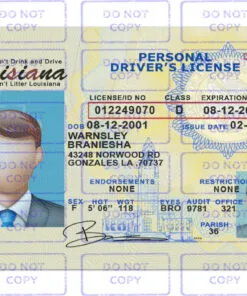 Louisiana driver license template