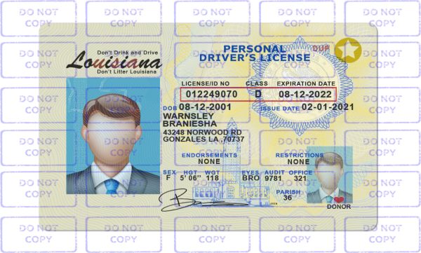 Louisiana driver license template