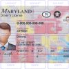 Maryland Driver License Template