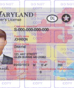 Maryland Driver License Template