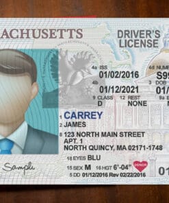 Massachusetts Driver License Template