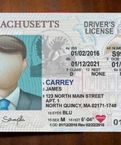 Massachusetts Driver License Template