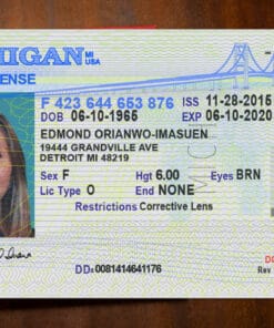 Michigan Driver License Template