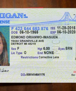 Michigan Driver License Template