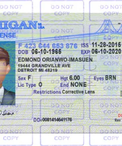 Michigan Driver License Template