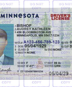 Minnesota Driver License Template