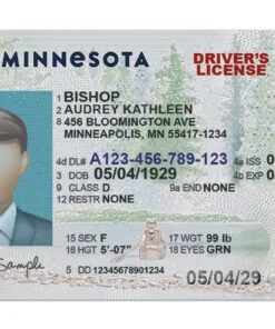 Minnesota Driver License Template