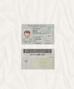 NY DLScan