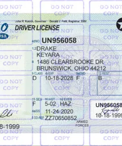 Ohio Driver License Template