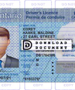 Ontario Driver License Template