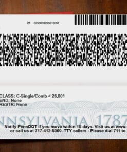 Pensylvania dl Back b