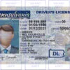 Pennsylvania Driver License Template