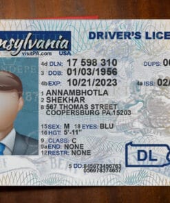 Pennsylvania Drivers License Template