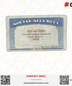 Wisconsin Social Security Card Template