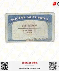 Wisconsin Social Security Card Template