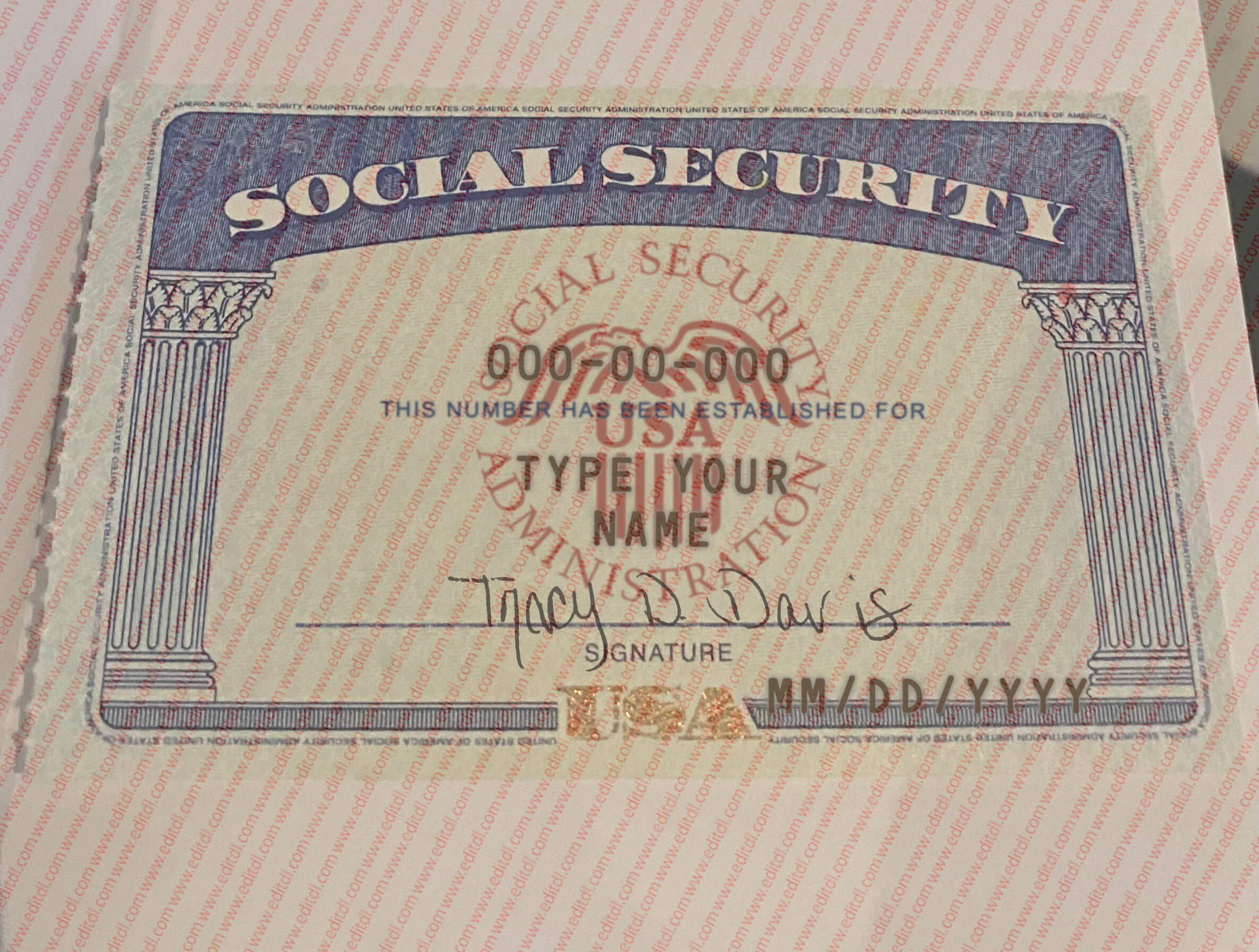 Social Security Card Template 02