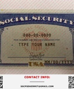 Social Security Card Template 01