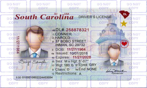 South Carolina Driver License Template