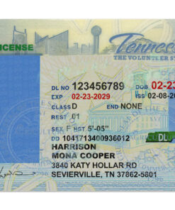 Tennessee driver license template
