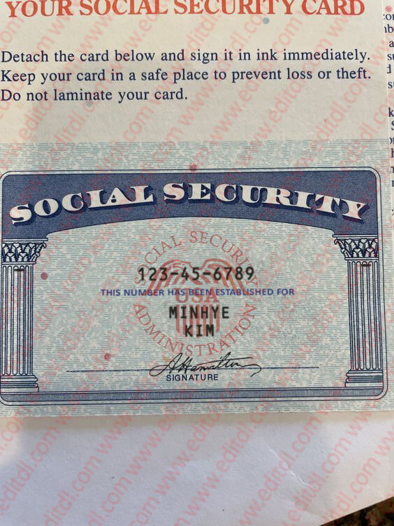 Hawaii Social Security Card Template