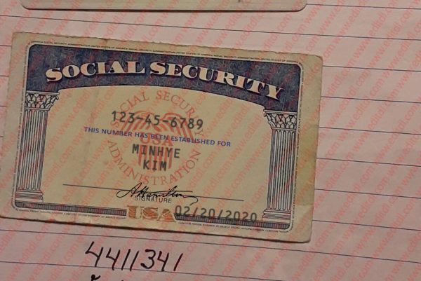 illinois social security card