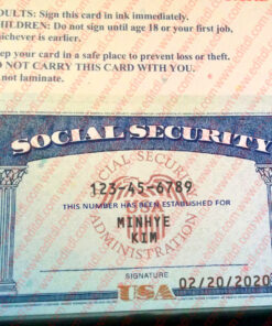 Delaware Social Security Card
