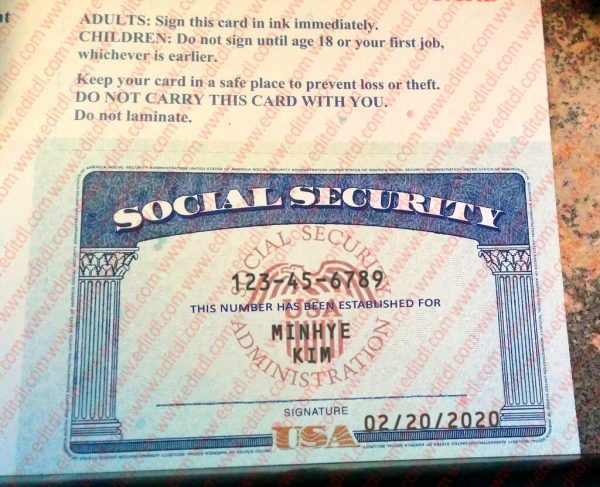 Delaware Social Security Card