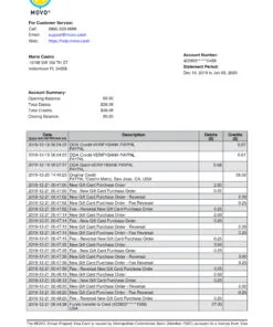 MOVO Cash Statement Free Download