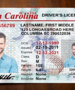 Free Download South Carolina Driver License Template