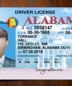 Free Alabama driver license Template