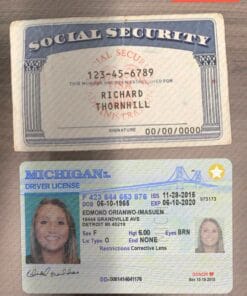 Drivers License and Social Security Card Editable Template