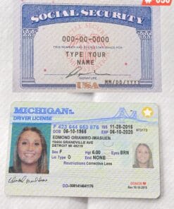 Social Security Card and ID Template